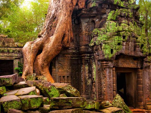 Cambodia tailor made vacation