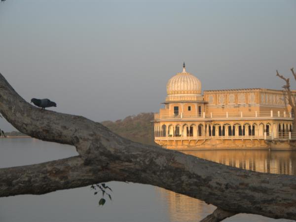 Vegan vacation in India