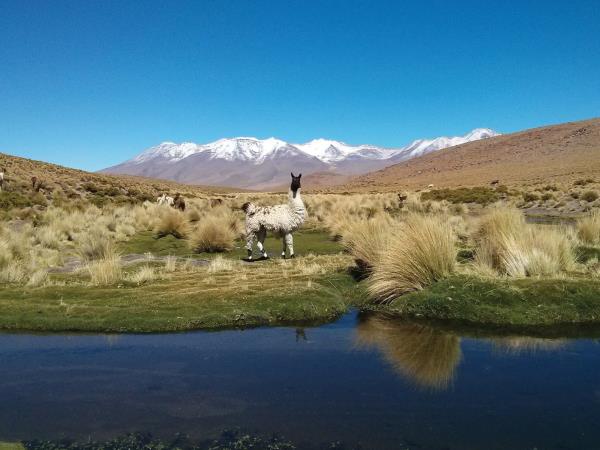 Cordillera Real climbing holiday in Bolivia