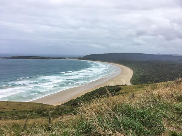 Stewart Island and South Island tour, New Zealand