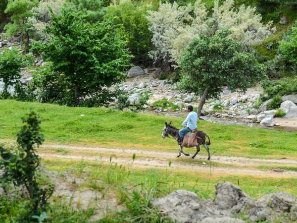 Uzbekistan tour, nature and culture