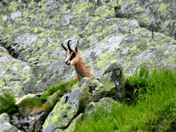 Poland and Slovakia family vacation