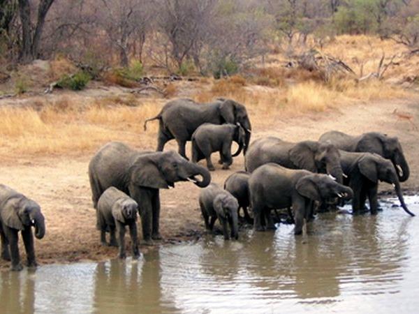 Botswana flying safari, tailor made