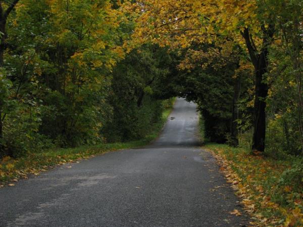 Lithuania to Poland cycling vacation