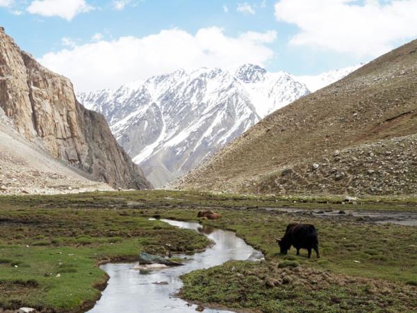 Pakistan Hindu Kush vacation