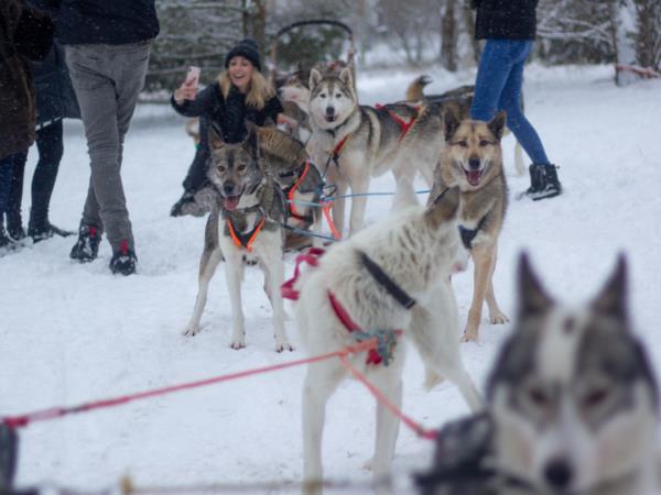 Winter short break in Finland