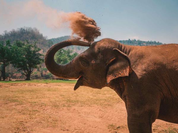 Highlights of Thailand vacation