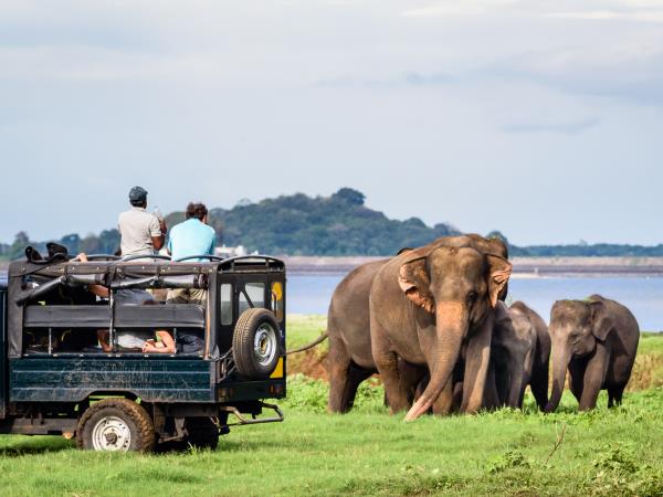 Sri Lanka cycling vacation, tailor made