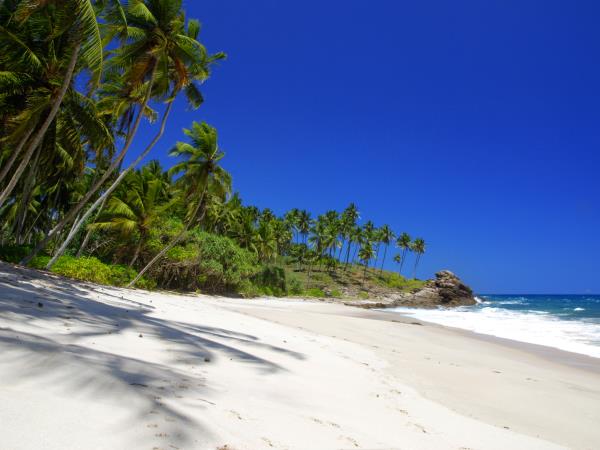 Sri Lanka cycling vacation, tailor made