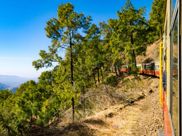 Indian Himalayas tour, toy trains and hill stations