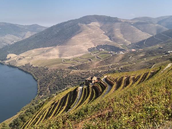 Douro Valley self guided cycling vacation, Portugal