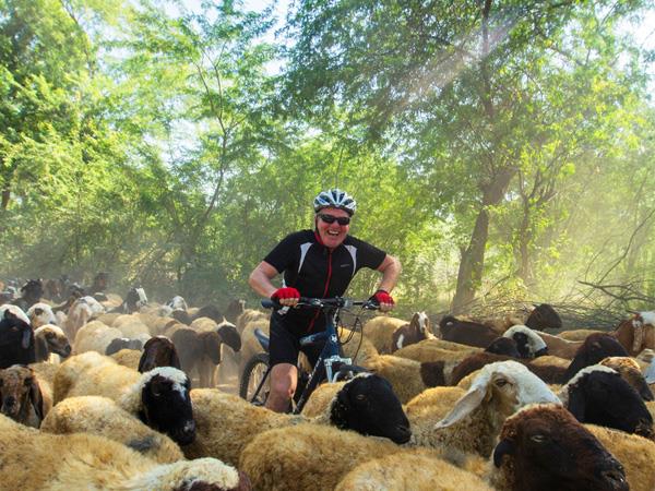 Rajasthan cycling vacation with Taj & tigers