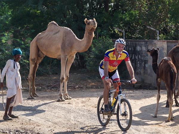 Rajasthan cycling vacation with Taj & tigers