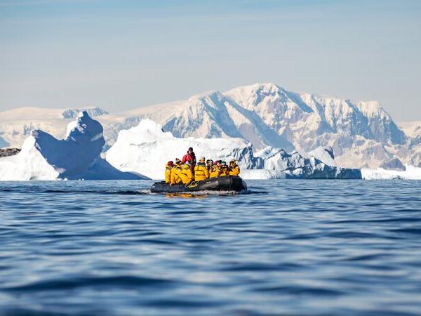 Antarctic whale watching cruise