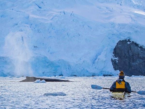 Journey to the Antarctic circle vacation