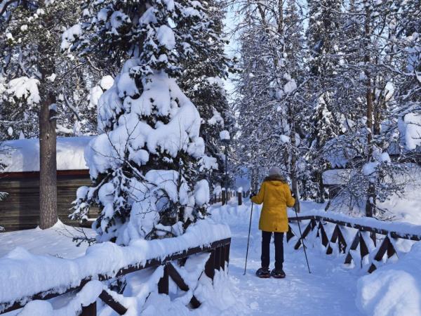 Christmas or New Year 2023 in Lapland