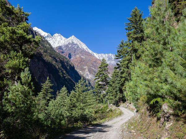 Ghandruk trekking tour in Nepal