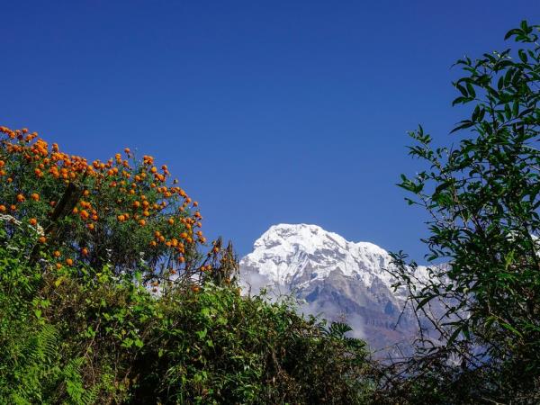 Ghandruk trekking tour in Nepal