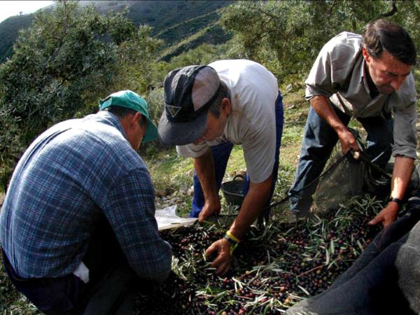 Cooking and walking vacation, Spanish Pyrenees