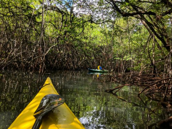 Conservation volunteering in Belize