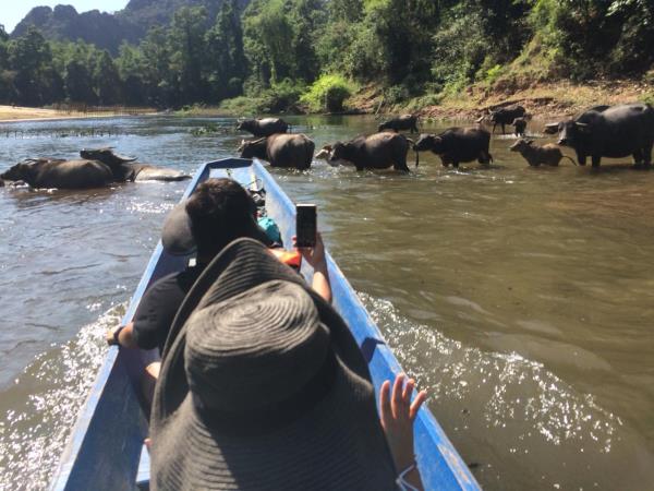 Vegan tour in Laos