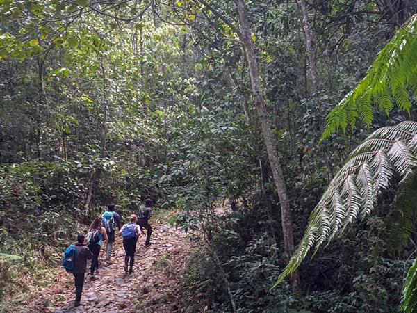 Western Ghats walking tour in India