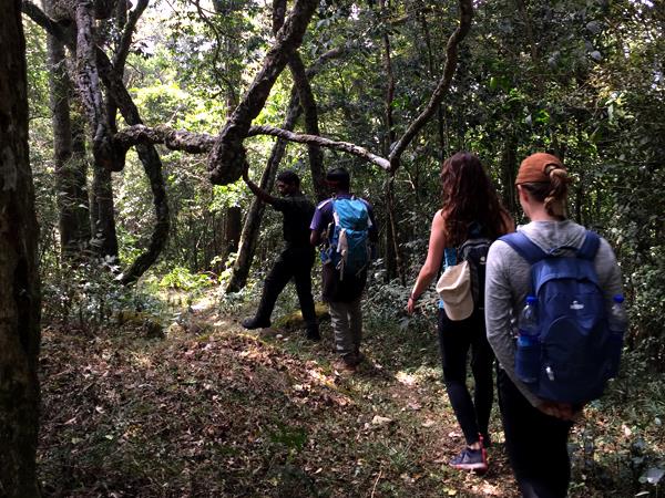 Western Ghats walking tour in India