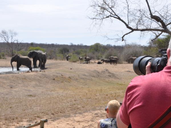 South Africa safari with beach break in Mozambique