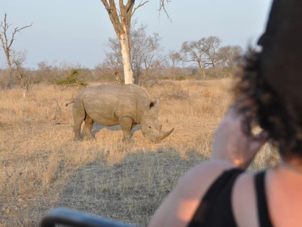 South Africa safari with beach break in Mozambique