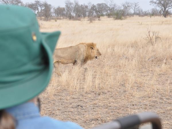 South Africa safari with beach break in Mozambique