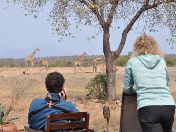 South Africa safari with beach break in Mozambique