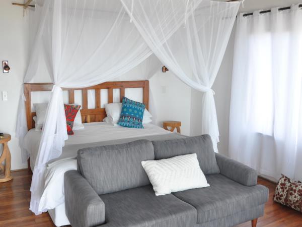 Mozambique beach vacation with ocean safaris
