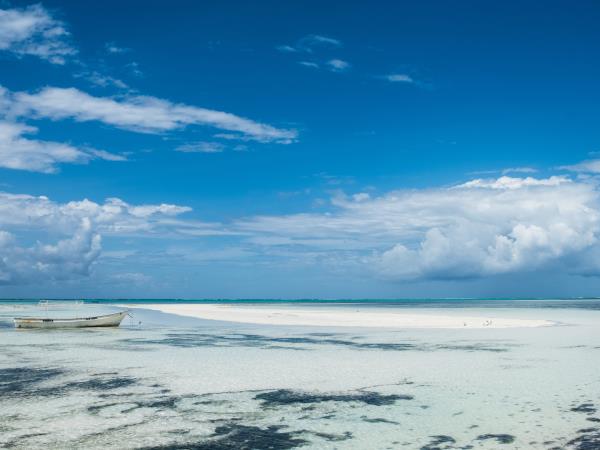 Luxury Tanzania safari with Zanzibar beach stay