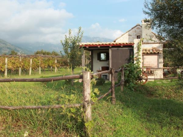 Rural accommodation in Croatia, Vineyard Cottage