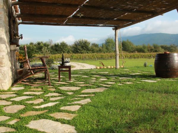 Rural accommodation in Croatia, Vineyard Cottage