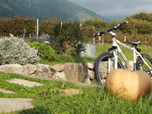 Rural accommodation in Croatia, Vineyard Cottage