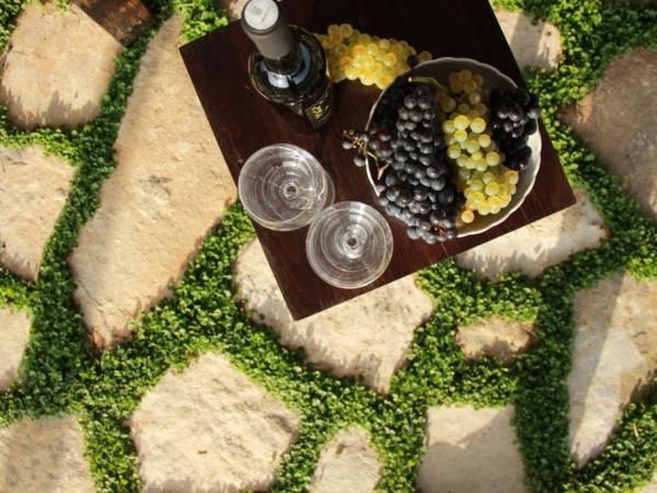 Rural accommodation in Croatia, Vineyard Cottage