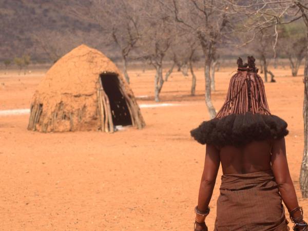 Namibia wildlife tour, desert and marine life