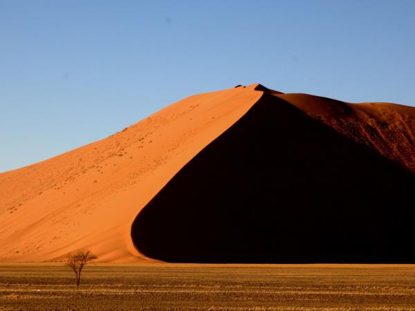 Namibia wildlife tour, desert and marine life