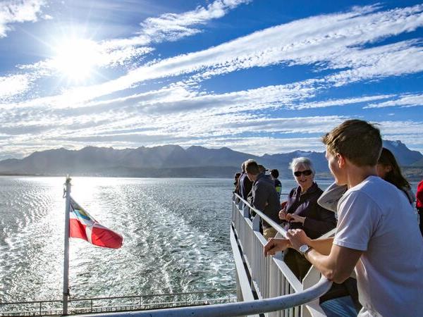 Antarctica, South Georgia and Falklands cruise in 2022