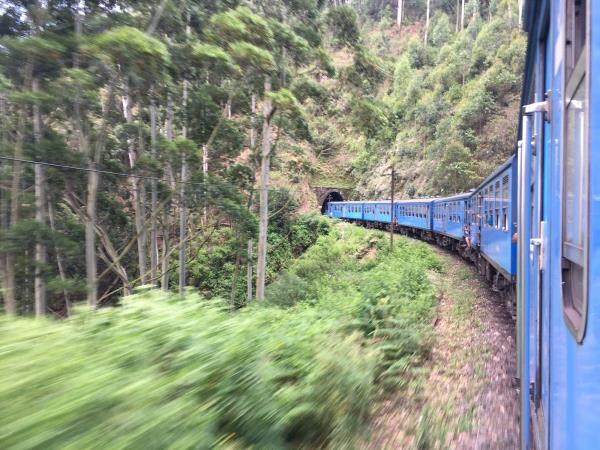 Sri Lanka tailor made tour, wildlife and culture