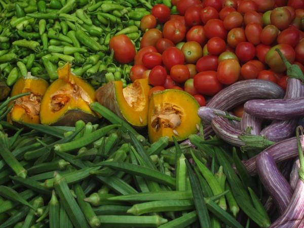 Sri Lanka tailor made tour, wildlife and culture