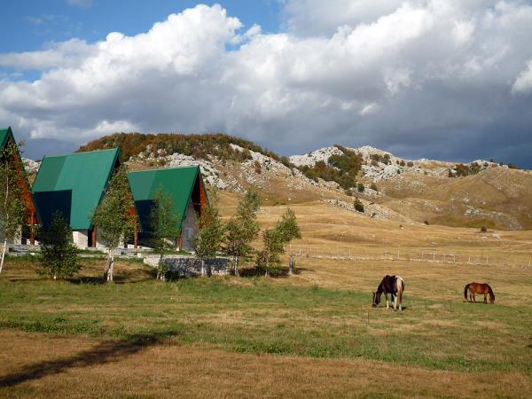 Wilderness riding vacation in Montenegro