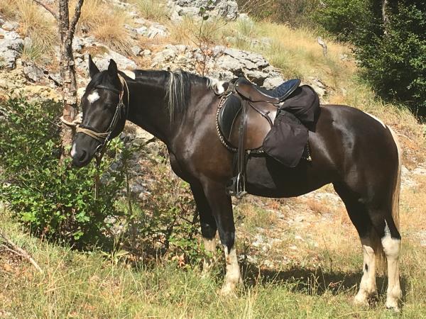 Wilderness riding vacation in Montenegro