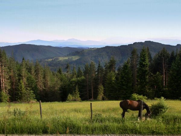 Bulgaria horse riding vacation, Orpheus Trail