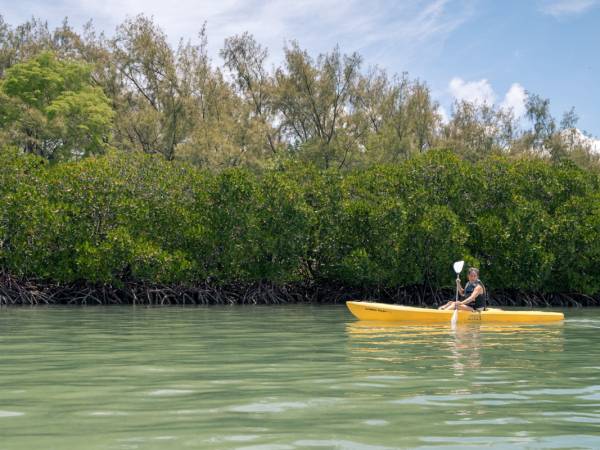 Mauritius and Rodrigues island vacation