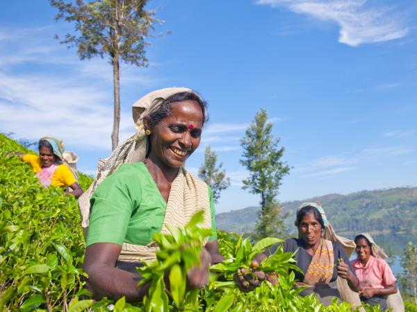 Vegan vacation in Sri Lanka