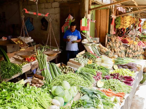Vegan vacation in Sri Lanka
