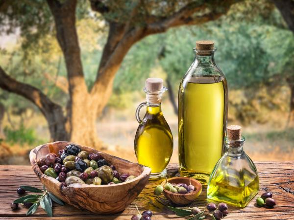 Mani vacation in the Peloponnese in Greece