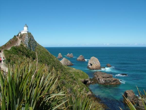 Stewart Island and South Island tour, New Zealand